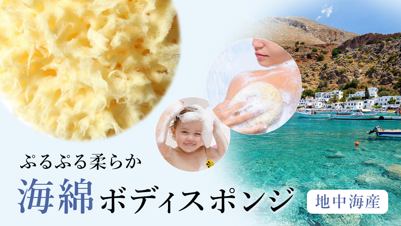 100%天然海綿 スポンジ ハニコム種 ボディスポンジ( 14cm~16cm )ギリシャ産
