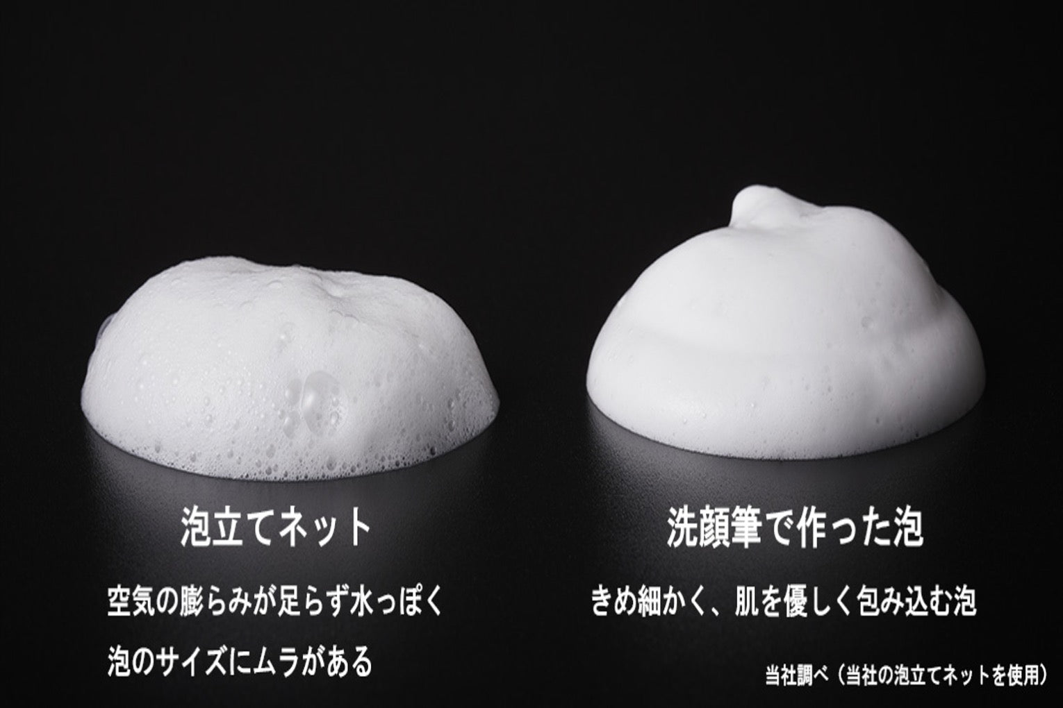 Kumano Brush Face Cleansing Brush (Full Face, Nose) Set of 2