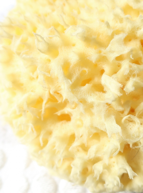 100%天然海綿 スポンジ ハニコム種 敏感肌 体洗うボディスポンジ( 14cm~16cm )ギリシャ産